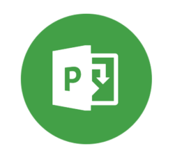 Microsoft Project Professional 2019/2016. Управление проектами