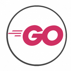 Golang Developer. Professional